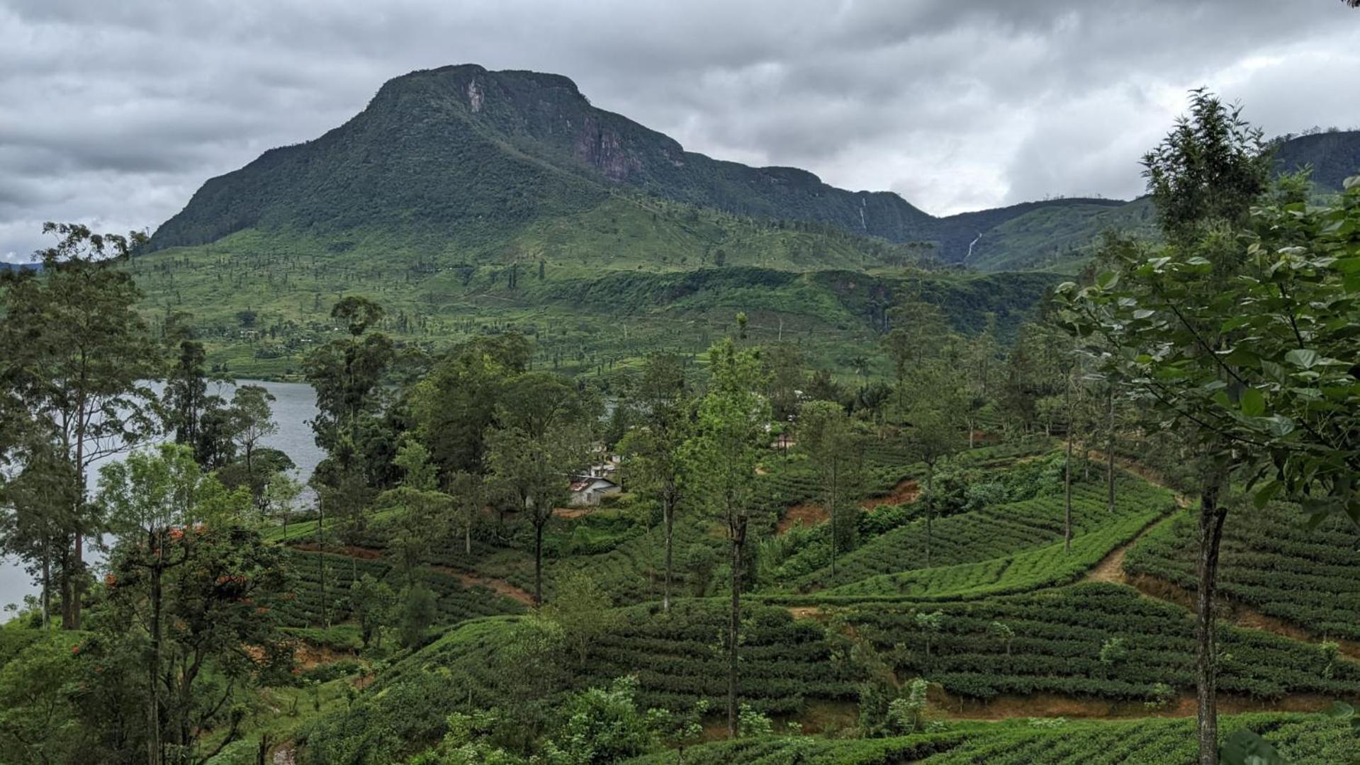 Subash Hotel Nallathanniya Exteriér fotografie