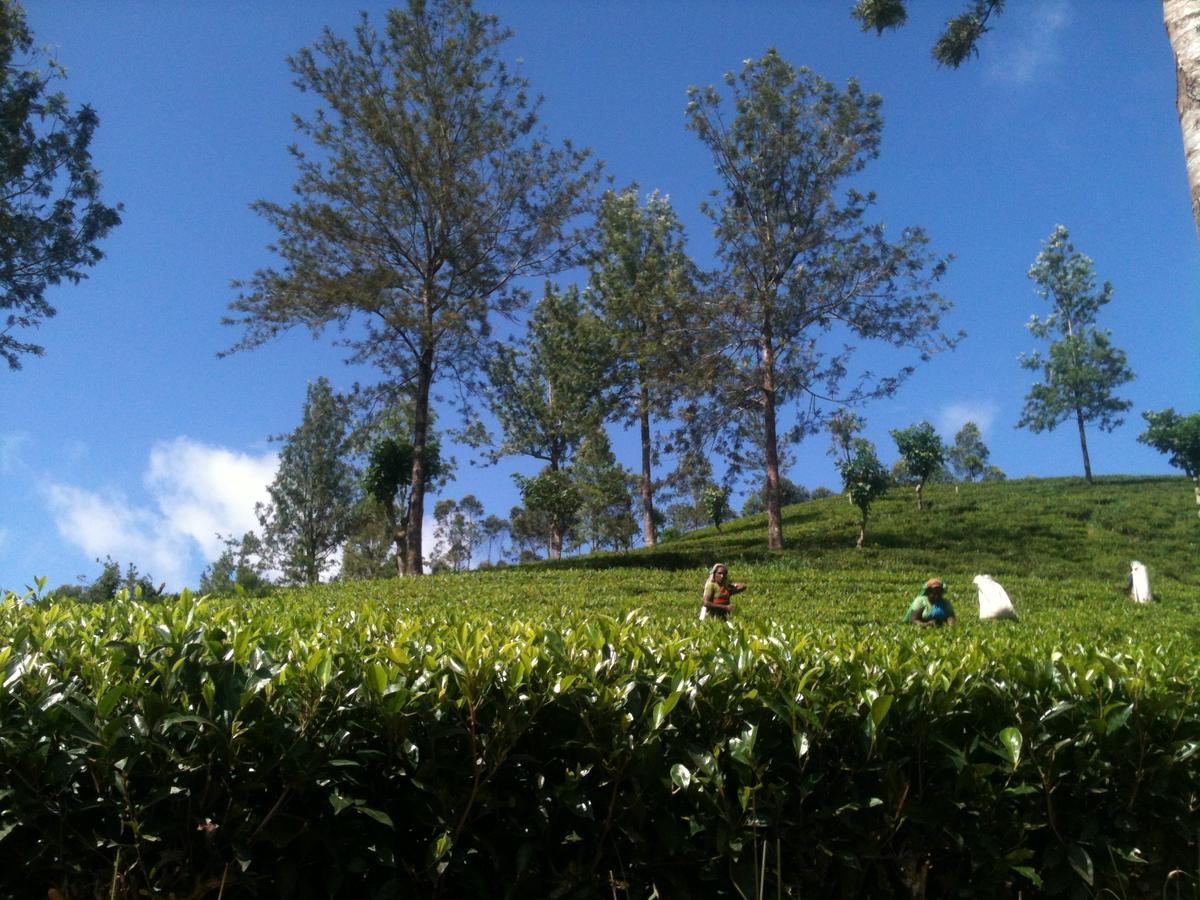 Subash Hotel Nallathanniya Exteriér fotografie