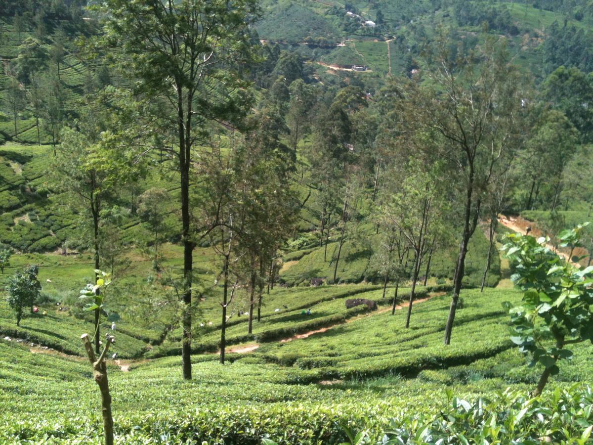 Subash Hotel Nallathanniya Exteriér fotografie